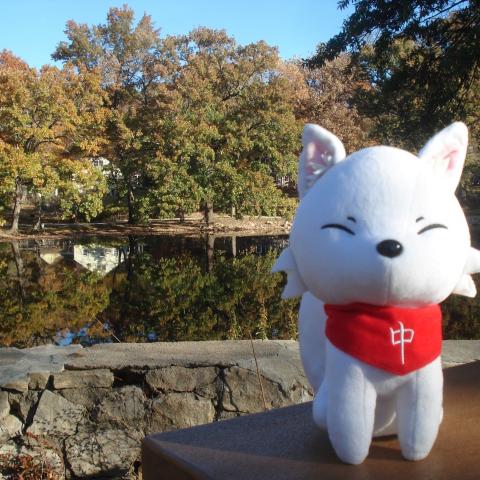 Inari plush enjoying time at a park