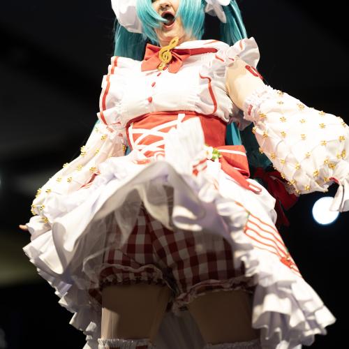 Strawberry Miku from Vocaloid
Cosplayer: Struddle Cosplay