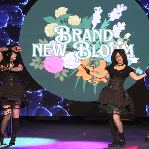 Brand New Bloom