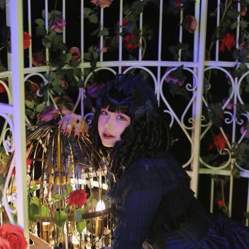 Iris Garden × Haenuli creation