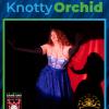 Knotty Orchid